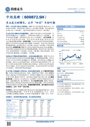 多点发力助增长，五年“双百”目标可期