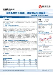 年报点评：业绩基本符合预期，继续加码铝镁合金