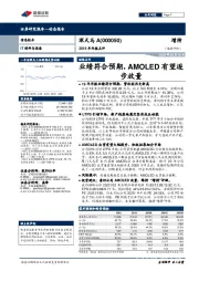 2019年年报点评：业绩符合预期，AMOLED有望逐步放量