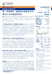 量、收高增长，短期成本端或有压力，看好公司长期投资价值