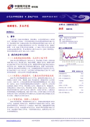 稳健增长，多点开花