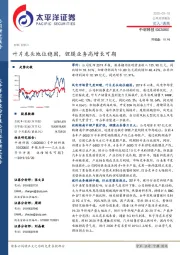 叶片龙头地位稳固，锂膜业务高增长可期