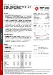 新材料、新能源双主业并驾齐驱，云母提锂产业链打开盈利空间