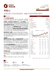 甘青高景气下龙头盈利强劲，2020年量价有望稳中有增