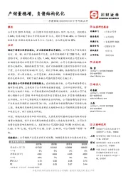 2019年年报点评：产销量稳增，负债结构优化