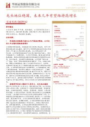 龙头地位稳固,未来几年有望维持高增长