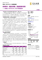 2019年年报点评:进击西北:覆盖甘青藏,受益基建补短板