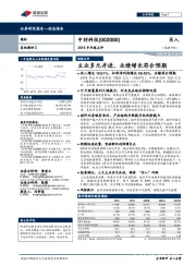 2019年年报点评：主业多元并进，业绩增长符合预期