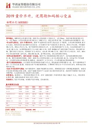 2019量价齐升，逆周期加码核心受益