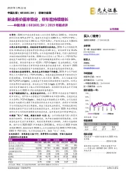 2019年报点评：新业务价值率稳定，非车险持续增长