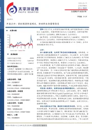 年报点评:营收保持快速增长,新材料业务蓄势待发