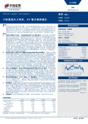 2019年报点评：个险渠道压力明显，EV增长维持稳定