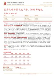 差异化对冲景气度下滑，2020再起航