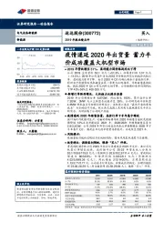 2019年报业绩点评：疫情递延2020年出货量 蓄力平价成功覆盖大机型市场