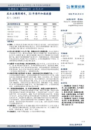龙头业绩高增长，20年海外加速放量