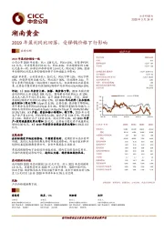 2019年盈利同比回落，受锑钨价格下行影响