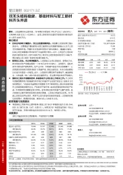 双龙头格局稳健，基础材料与军工新材料齐头并进