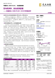 2019年年报点评:危与机并存,龙头优势显著