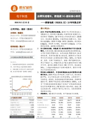 19年年报点评：业绩快速增长，新基建5G基站核心标的