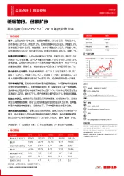 2019年报业绩点评：砥砺前行，份额扩张