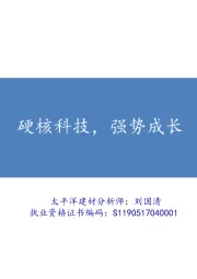 硬核科技，强势成长