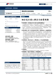 细分龙头进入新品与经营周期