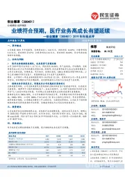 2019年年报点评：业绩符合预期，医疗业务高成长有望延续