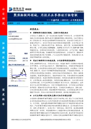 公司深度报告：聚焦物联网领域，用技术共享推动万物智联