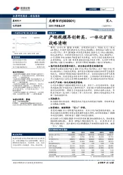 2019年财报点评:产销规模再创新高,一体化扩张战略清晰