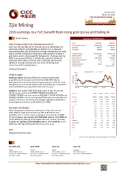 2019 earnings rise YoY; benefit from rising gold prices and falling AI