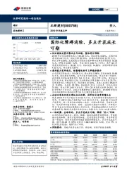 2019年年报点评：国际化障碍消除，多点开花成长可期