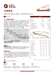 2019年业绩符合预期；铝价短期上涨乏力