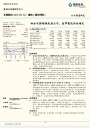 细分农药领域优质公司，麦草畏成长性确定