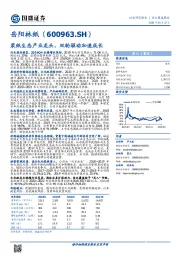 浆纸生态产业龙头,双轮驱动加速成长