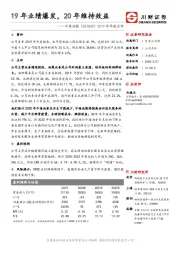 2019年年报点评：19年业绩爆发，20年维持效益