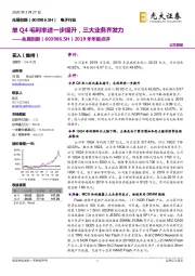 2019年年报点评:单Q4毛利率进一步提升,三大业务齐发力