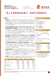 2019年年报点评:线上自营渠道高速增长,疫情冲击短期承压