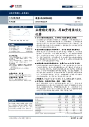 2019年年报点评：业绩稳定增长，再融资增强领先优势