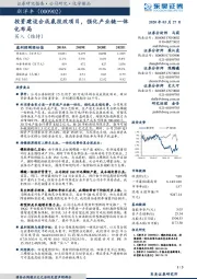 投资建设合成氨技改项目，强化产业链一体化布局