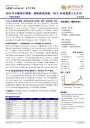 年报点评报告：2019年业绩符合预期，持续推进存储、MCU和传感器三大方向