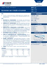 2019年报点评：氧化铝价格大幅下行拖累公司业务利润