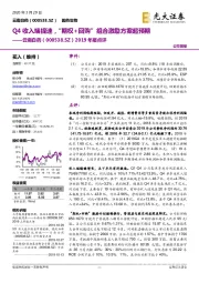 2019年报点评:Q4收入端提速,“期权+回购”组合激励方案超预期