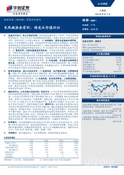 深度研究报告：长风破浪会有时，待龙头价值回归