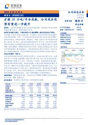 扩建30万吨/年合成氨,公司成本优势有望进一步提升