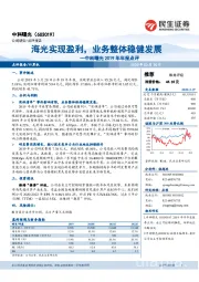 中科曙光2019年年报点评:海光实现盈利,业务整体稳健发展