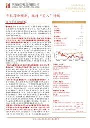 年报符合预期,维持“买入”评级