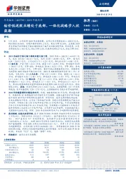 2019年报点评：钴价低迷致业绩处于底部，一体化战略步入收获期