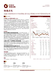 1Q20业绩预告好于市场预期；国内龙头聚酯企业保价策略效果显现