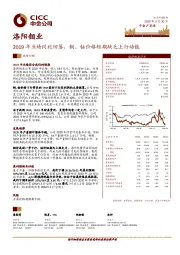 2019年业绩同比回落，铜、钴价格短期缺乏上行动能