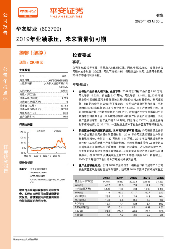 2019年业绩承压，未来前景仍可期